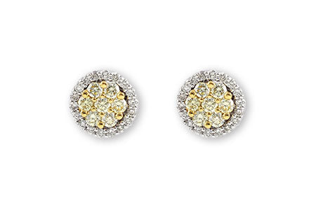 14K Natural Yellow and White Diamond Earrings