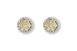 14K Natural Yellow and White Diamond Earrings